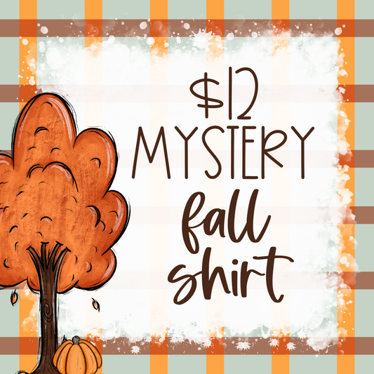 $12 Mystery Fall Tee