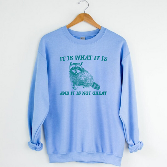 Funny Raccoon Sweatshirt | It Is What It Is