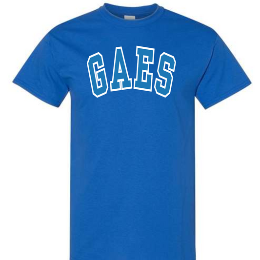 Glen Allen Elementary GAES Varsity Shirt