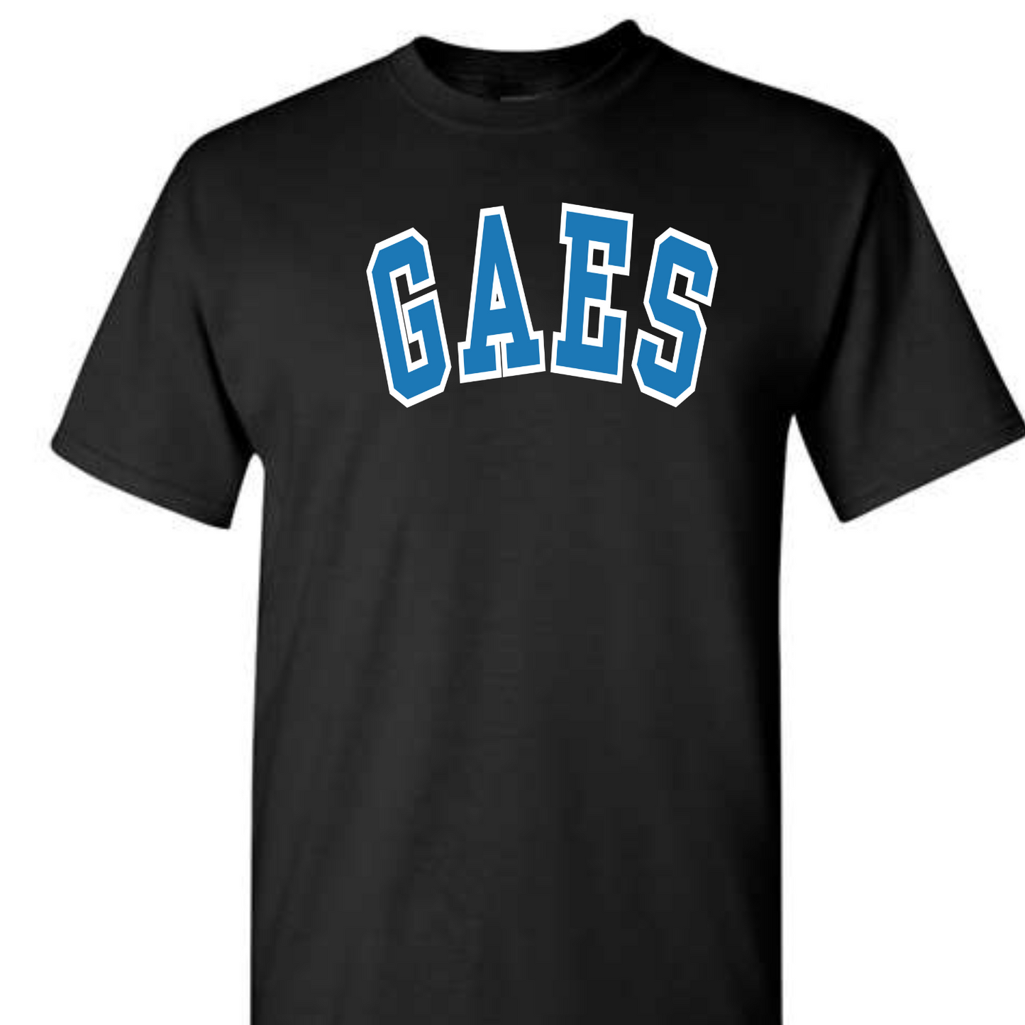 Glen Allen Elementary GAES Varsity Shirt